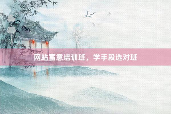 网站蓄意培训班，学手段选对班